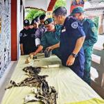 DoFPS launches zero poaching strategy to end wildlife crime