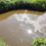 Initial investigation ties desuups’ deaths to contaminated training pond