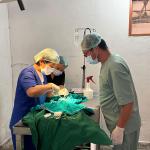 Ensuring that GMC is rabies-free