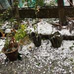 Rain and hail in south, snow in north as pre-monsoon systems dominate skies