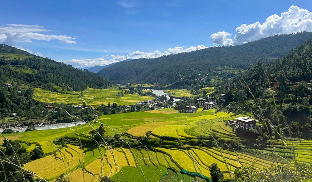 Bhutan’s rice bowl under climate pressure