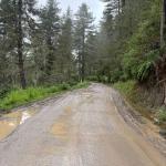 Gangtey-Phobjikha residents urge road widening as safety concerns grow