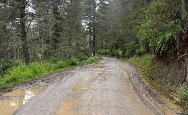 Gangtey-Phobjikha residents urge road widening as safety concerns grow