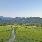 Sarpang land market cools from two-year high