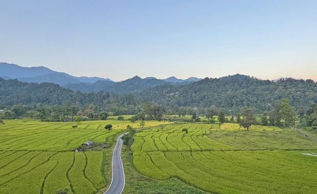 Sarpang land market cools from two-year high