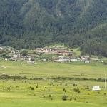 Phobjikha sheep farming declines as youth seek cities, farmers shift crops