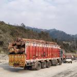 State-controlled timber supply limits growth and export potential: Wood industries