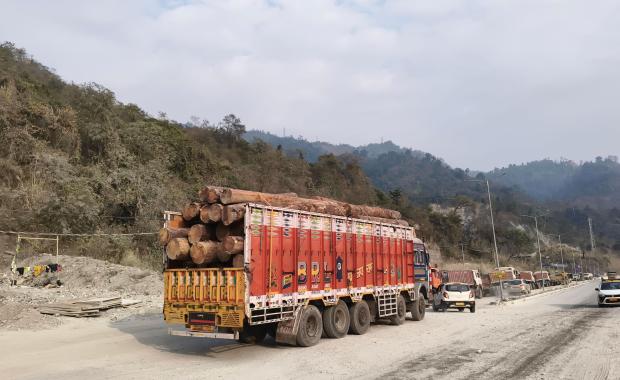 State-controlled timber supply limits growth and export potential: Wood industries