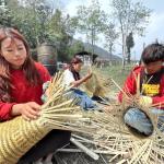 Tapping economic potential through canes and bamboo