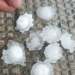 Hailstorm damages crops and property in Sarpang