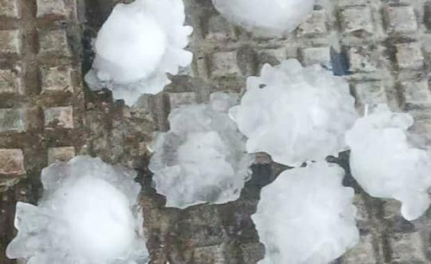 Hailstorm damages crops and property in Sarpang