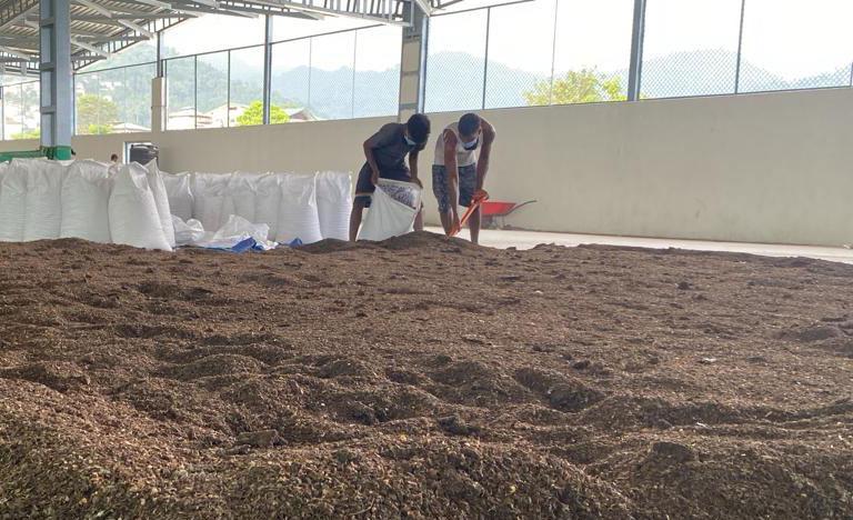 From kitchen waste to green gold