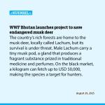 WWF Bhutan launches project to save endangered musk deer