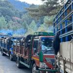 སེམས་ཅན་ཚེ་ཐར་ཚོགས་པ་གིས་ གཡག་༨༦ སྲོག་སྐྱབས་འབད་ཡོདཔ།