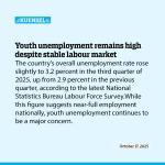 Youth unemployment remains high despite stable labour market