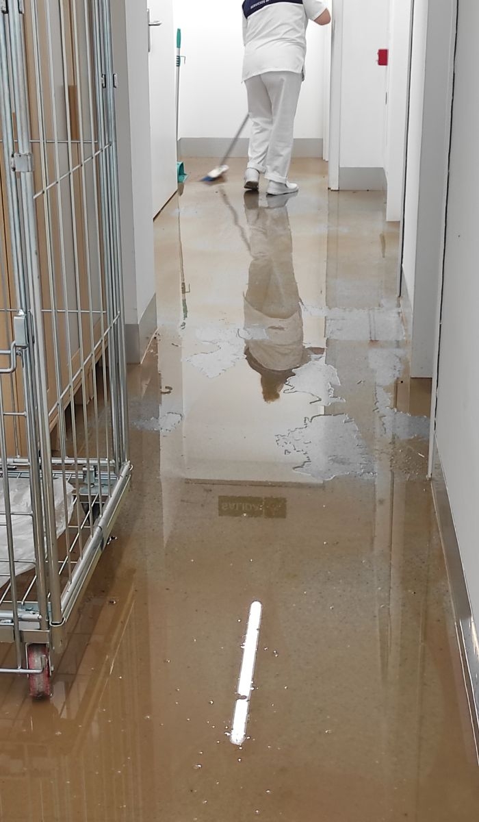 Professional Cleaning for All Business Types