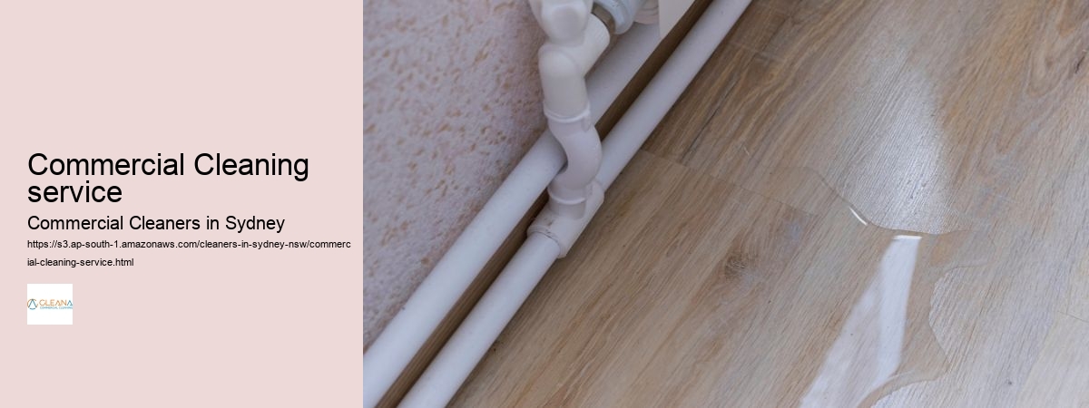 Commercial Cleaning service 