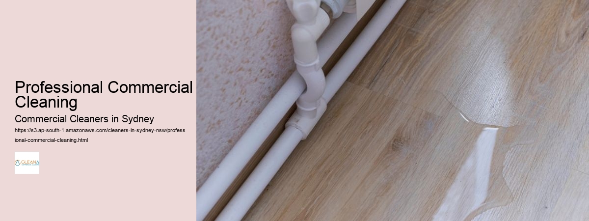 Professional Commercial Cleaning