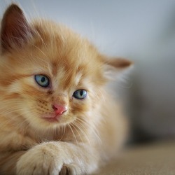 cute_might_delete_later