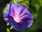 test41wefwef
