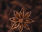 Star_Anise-6