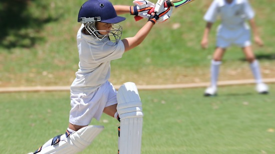 cricket