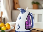 Electric steamer