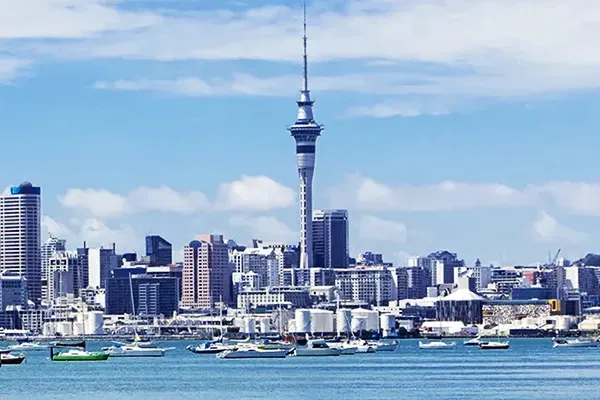 Auckland.webp