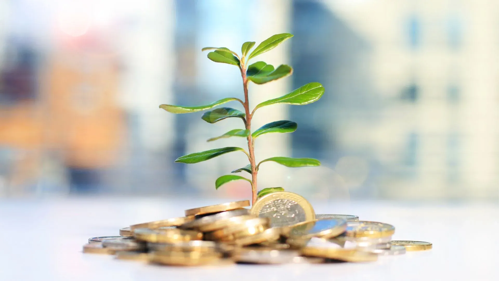 Climate Adaptation Investing: Building Resilient Portfolios for India's Environmental Future