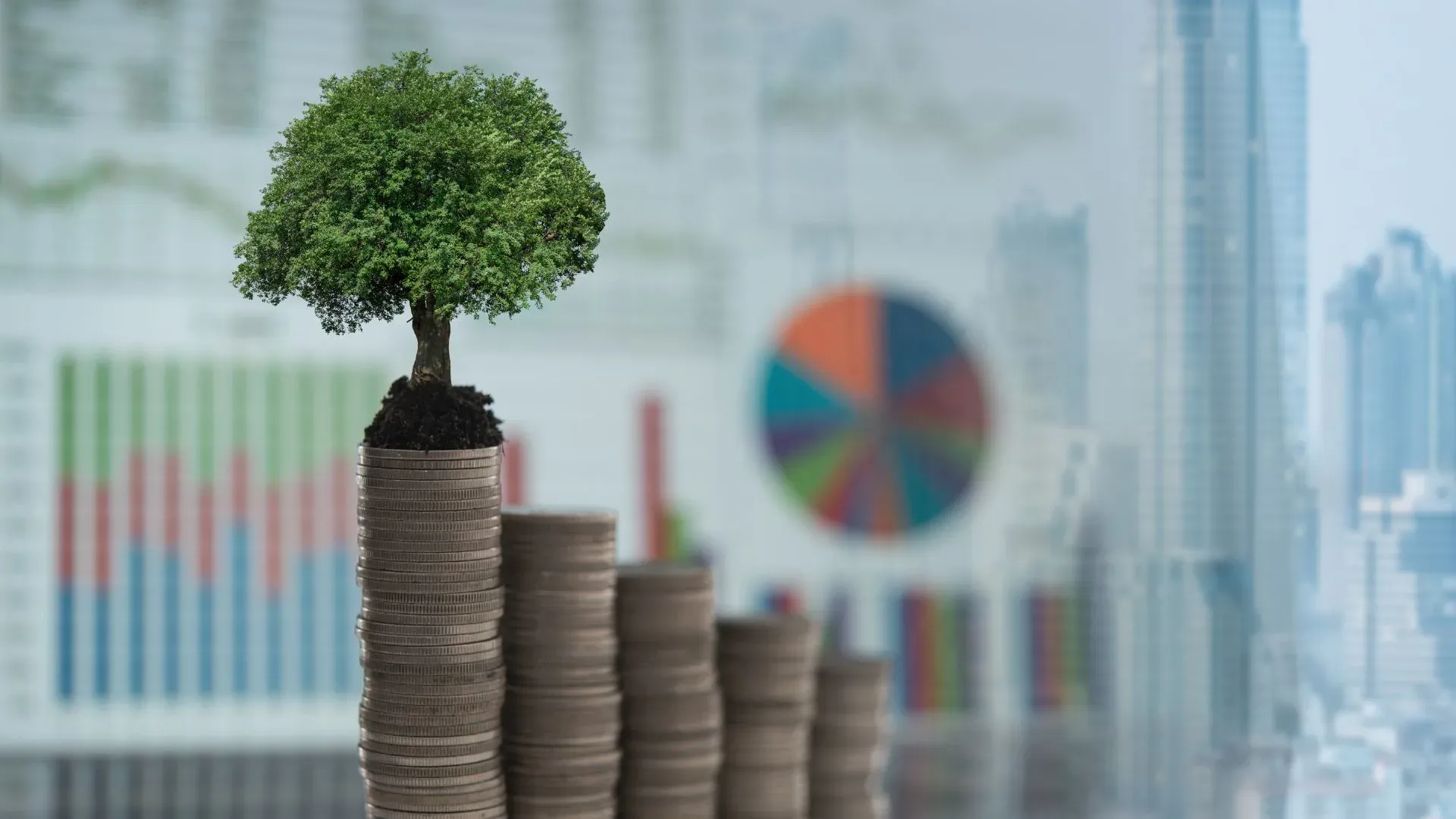 Climate-Conscious Investing: Strategic Opportunities for HNI Portfolios