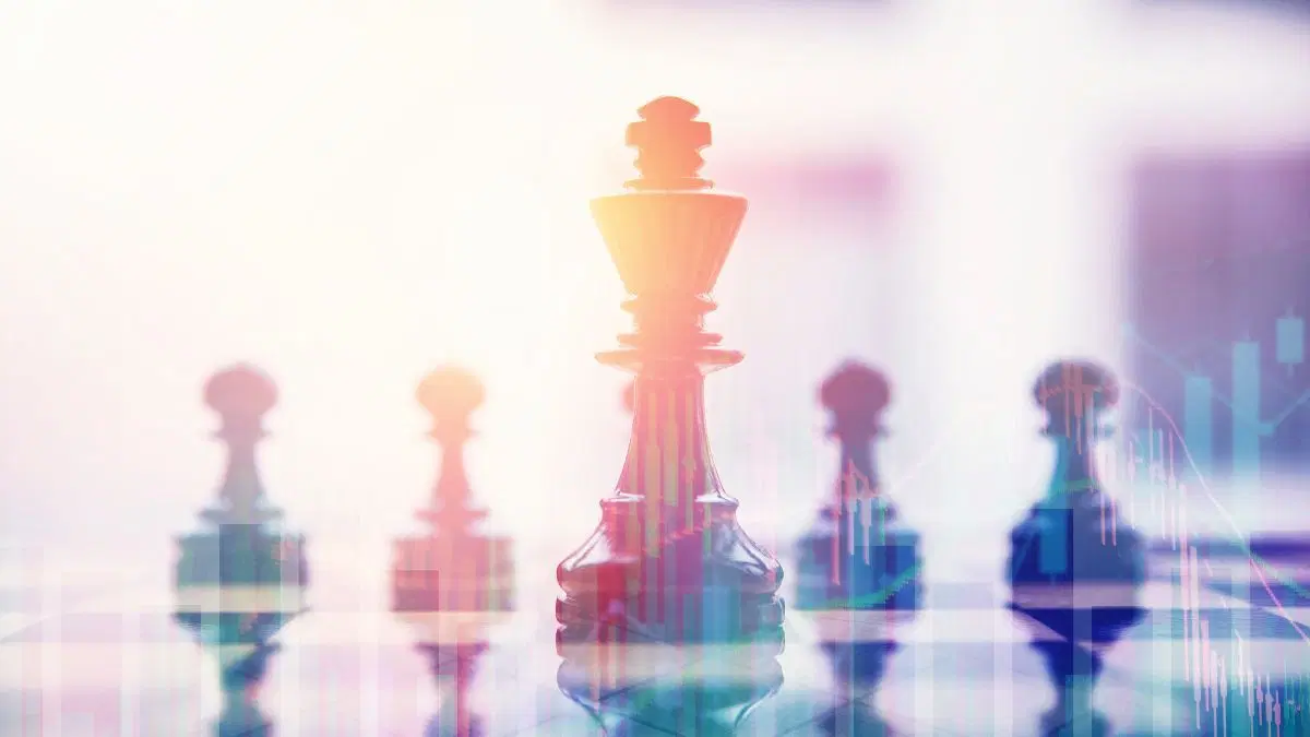 Effective Wealth Management Strategies for High Net Worth Individuals (HNIs) in India