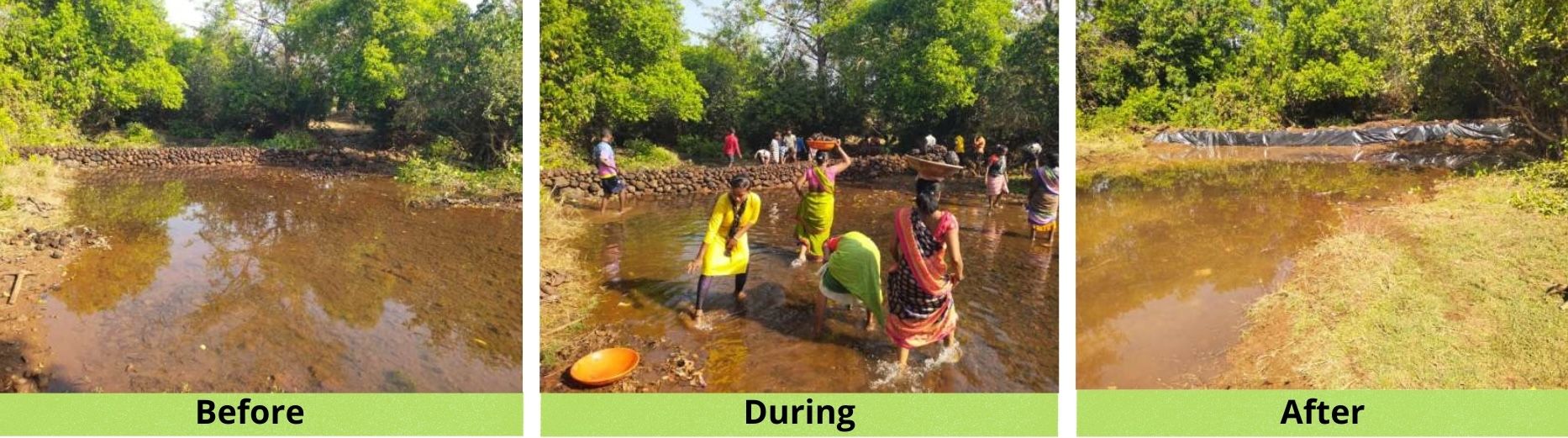 Foundation Page_images (4).jpg