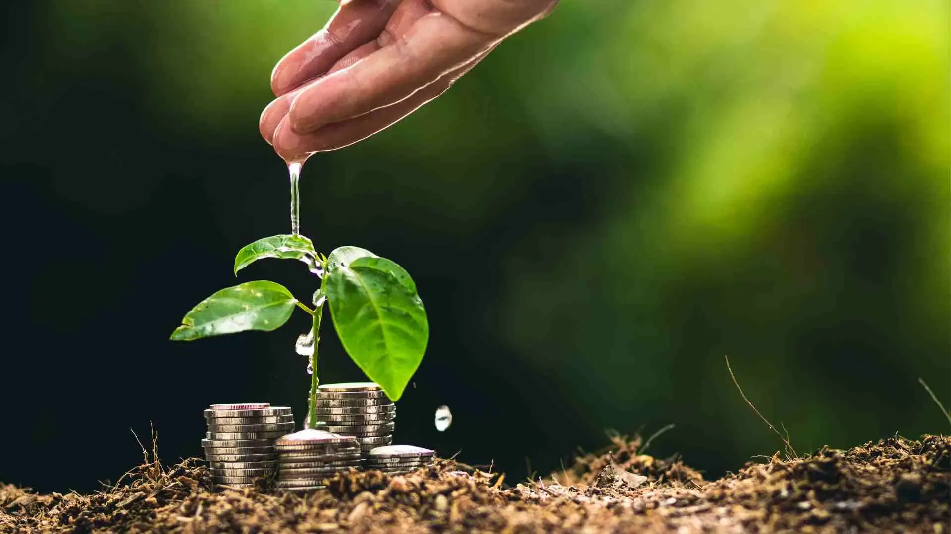 Green Finance Uncovered Trends and Insights for Investors