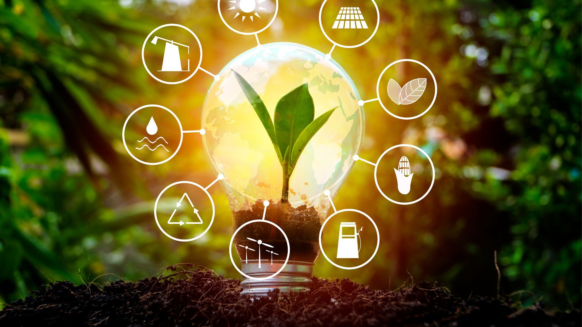 India’s Renewable Energy Boom: Unpacking Growth, Players, and Stock Picks