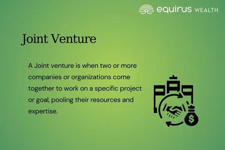 Joint Venture.webp