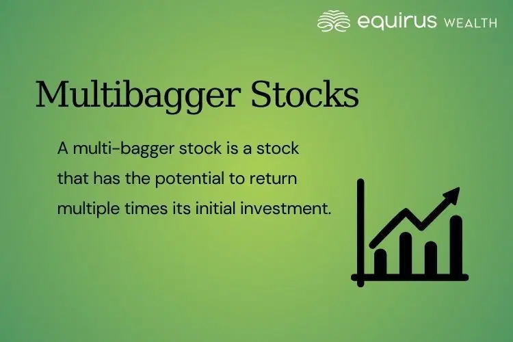 Multibagger Stocks.webp