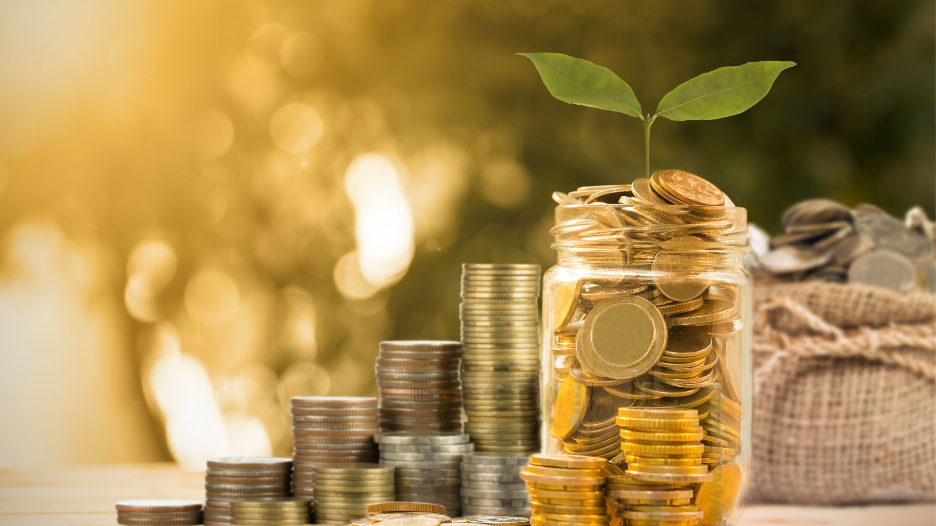 The Power of Fiat Money: Understanding Its Role in Modern Economies