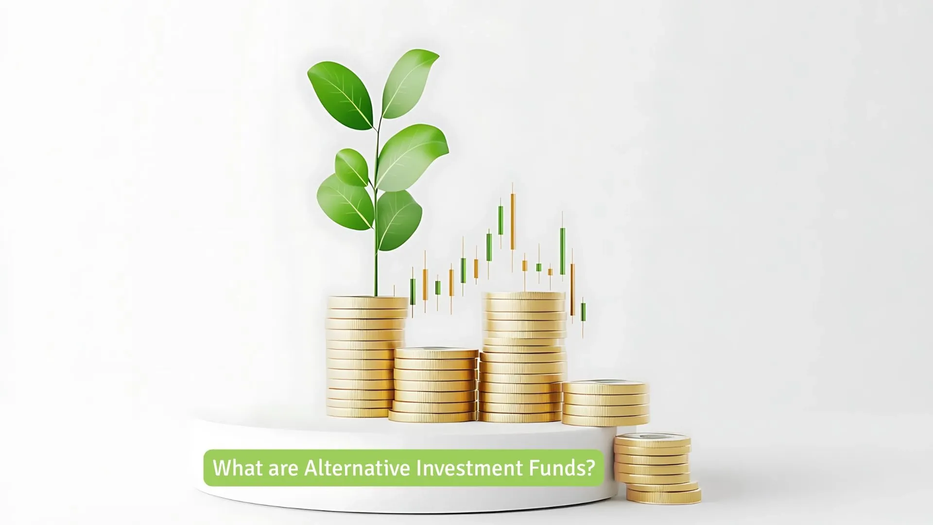 What are Alternative Investment Funds?