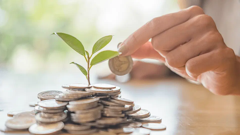 What is a Flexi Cap Mutual Fund & Top Picks for 2024