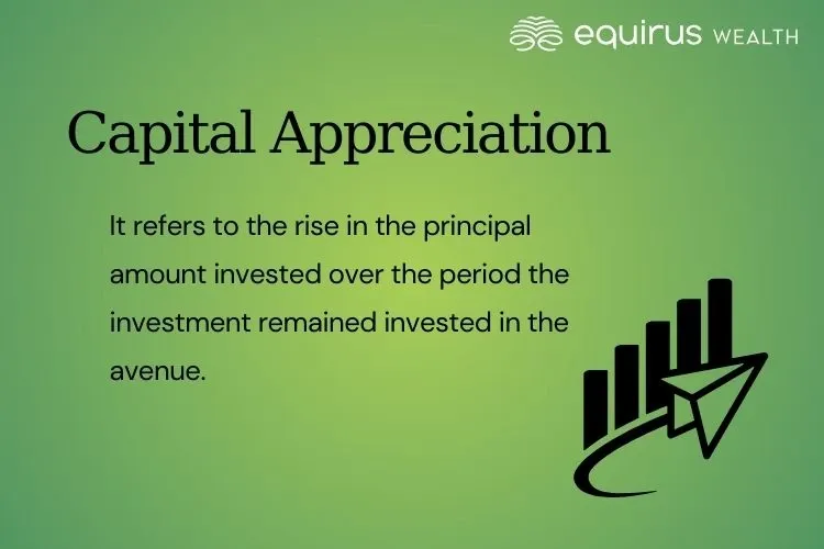 capital appreciation.webp