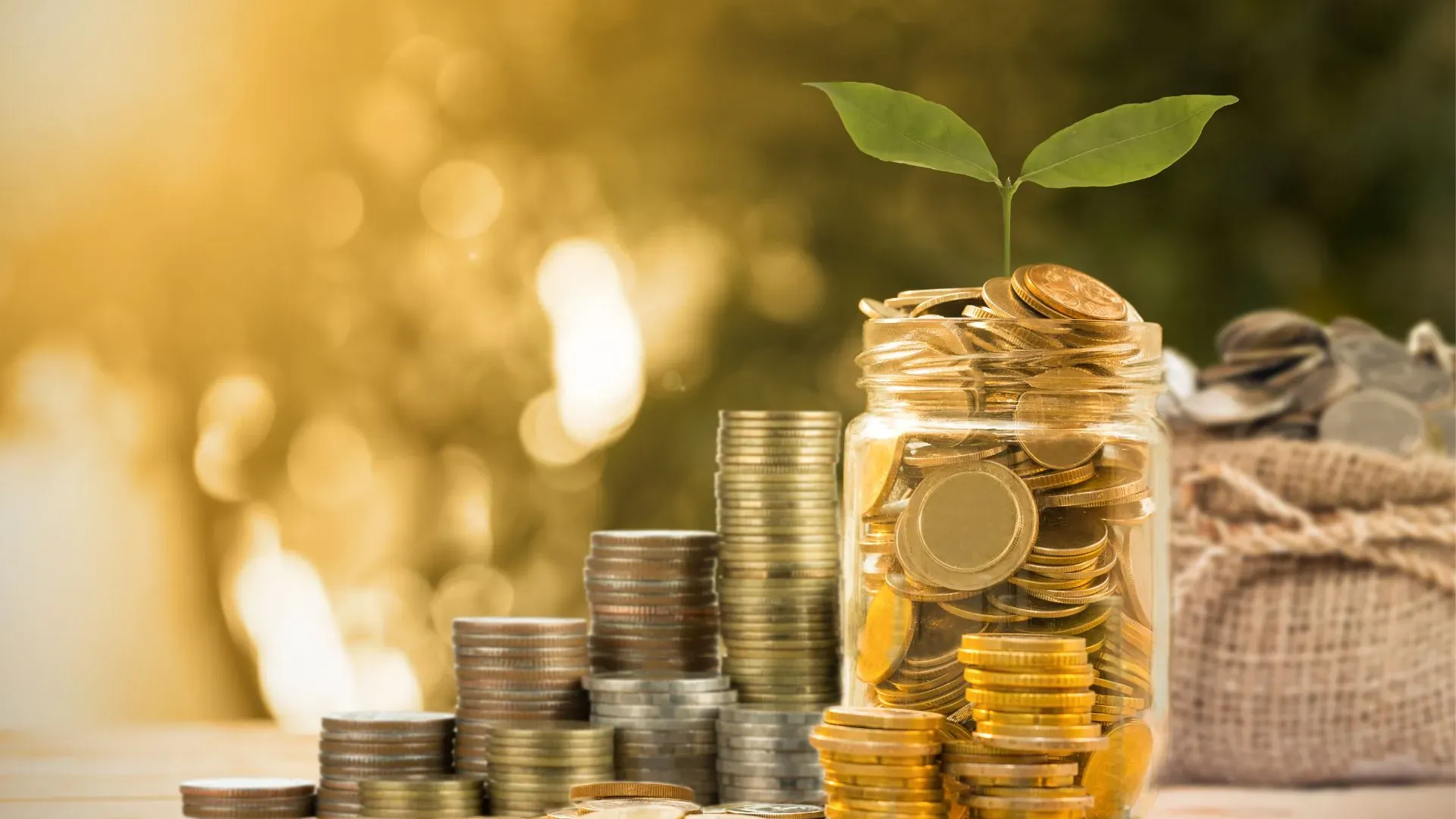 Gold, Bonds, or AI Stocks? Where Smart Money is Moving in 2025