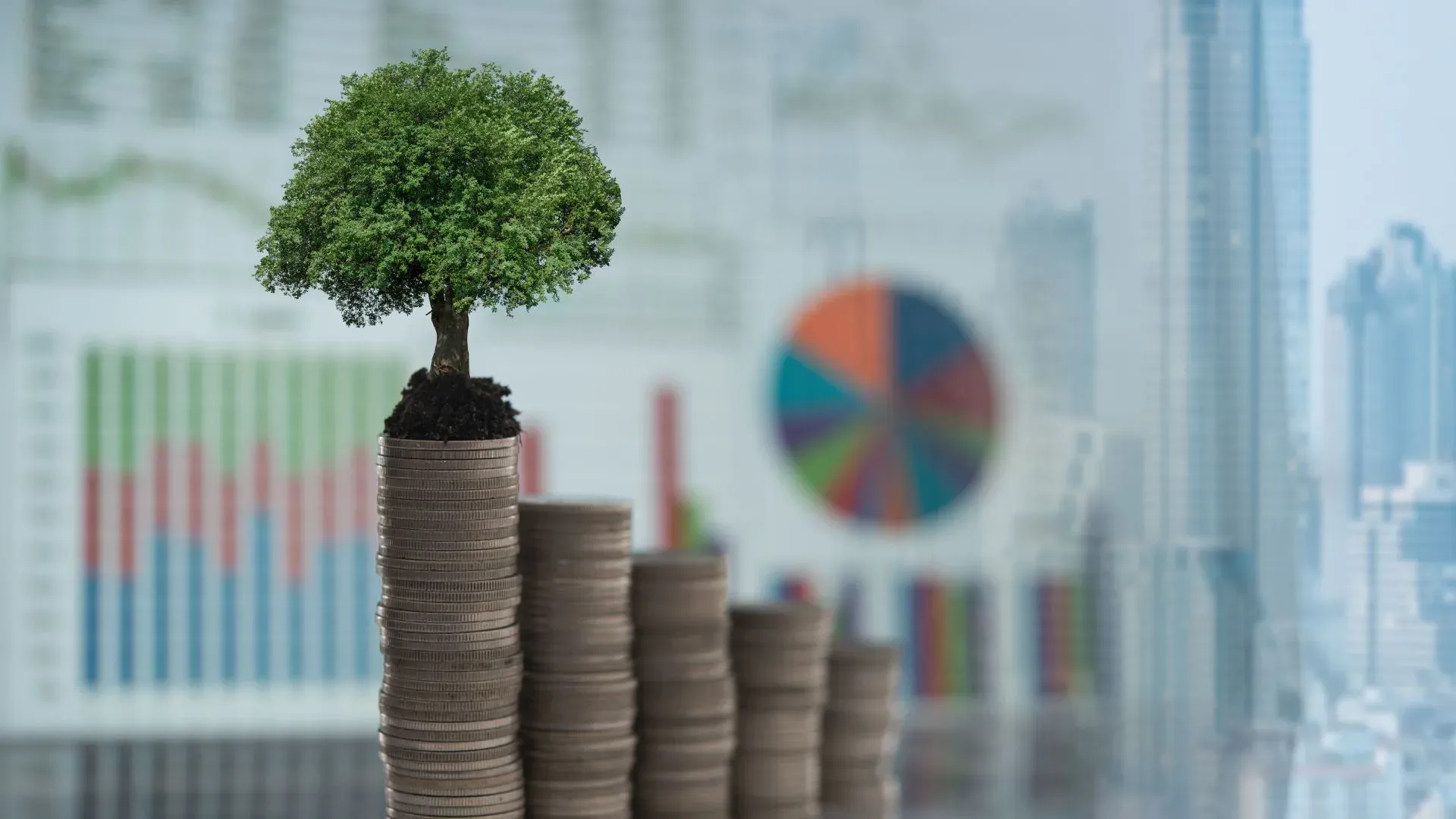 From Products to Experiences: Why Investors Demand More Than Just Returns in 2025?