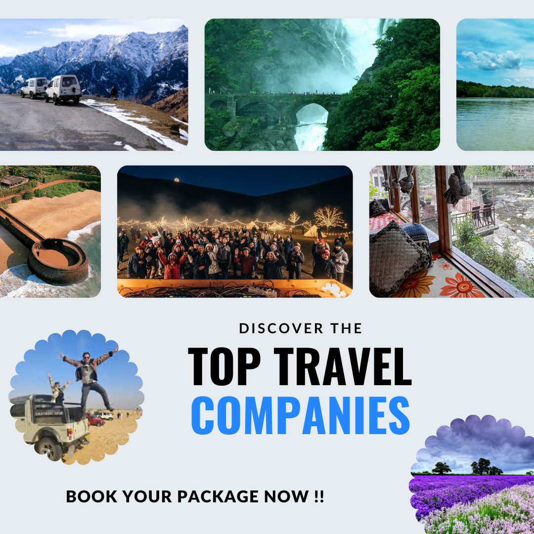 Top Travel Companies in Jaipur – Best Tour Operators for Hassle-Free Trips