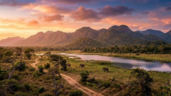 Sri Lanka Emerges as a Must-Visit Global Travel Destination