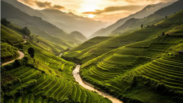 Vietnam's National Day Holiday Boom: Da Nang Leads Trips, Bangkok Tops Asia Searches Vietnam's National Day Holiday Boom: Da Nang Leads Trips, Bangkok Tops Asia Searches