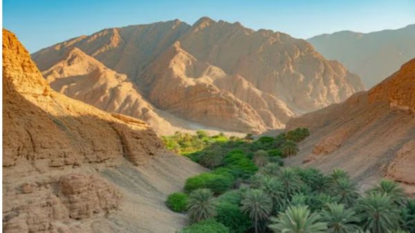 Middle East Tourism Expands as Saudi Arabia Drives Regional Growth