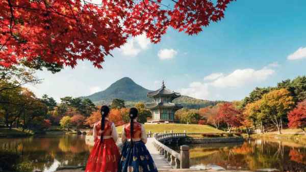 South Korea: New Wellness Tourism Law Opens the Door to Global Healing Travel South Korea: New Wellness Tourism Law Opens the Door to Global Healing Travel