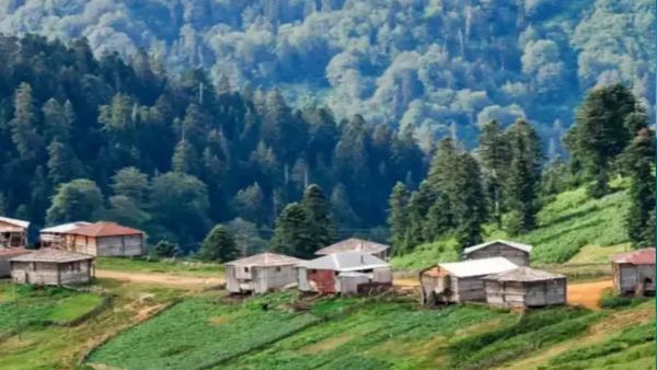 Georgia and Cambodia Fast-Track Tourism and Trade Cooperation Across New Economic Frontiers
