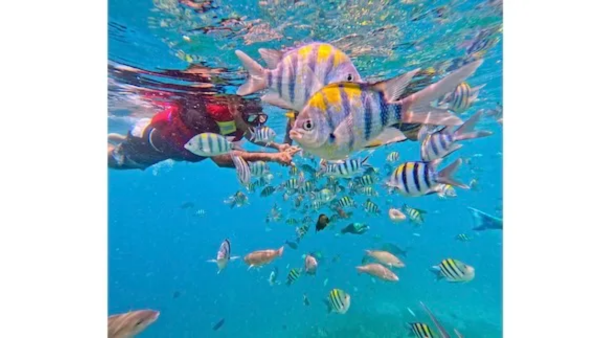 TransNusa Expands Network with New Routes and Increased Flight Frequency