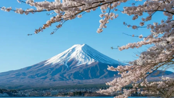 Japan Launches Travel Trading Cards to Showcase Iwate’s Hidden Gems